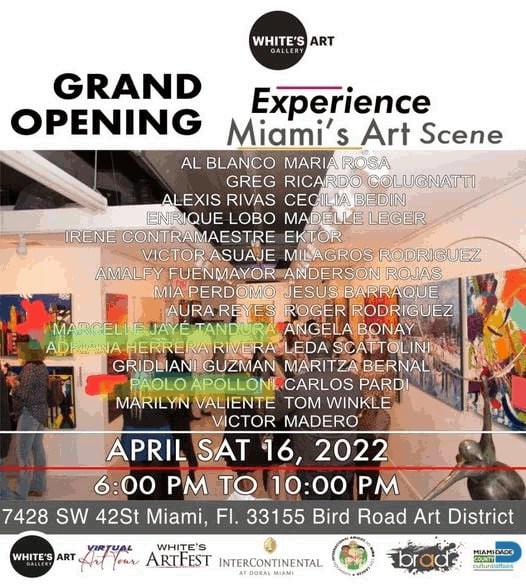  Miami Art Scene - Experience
